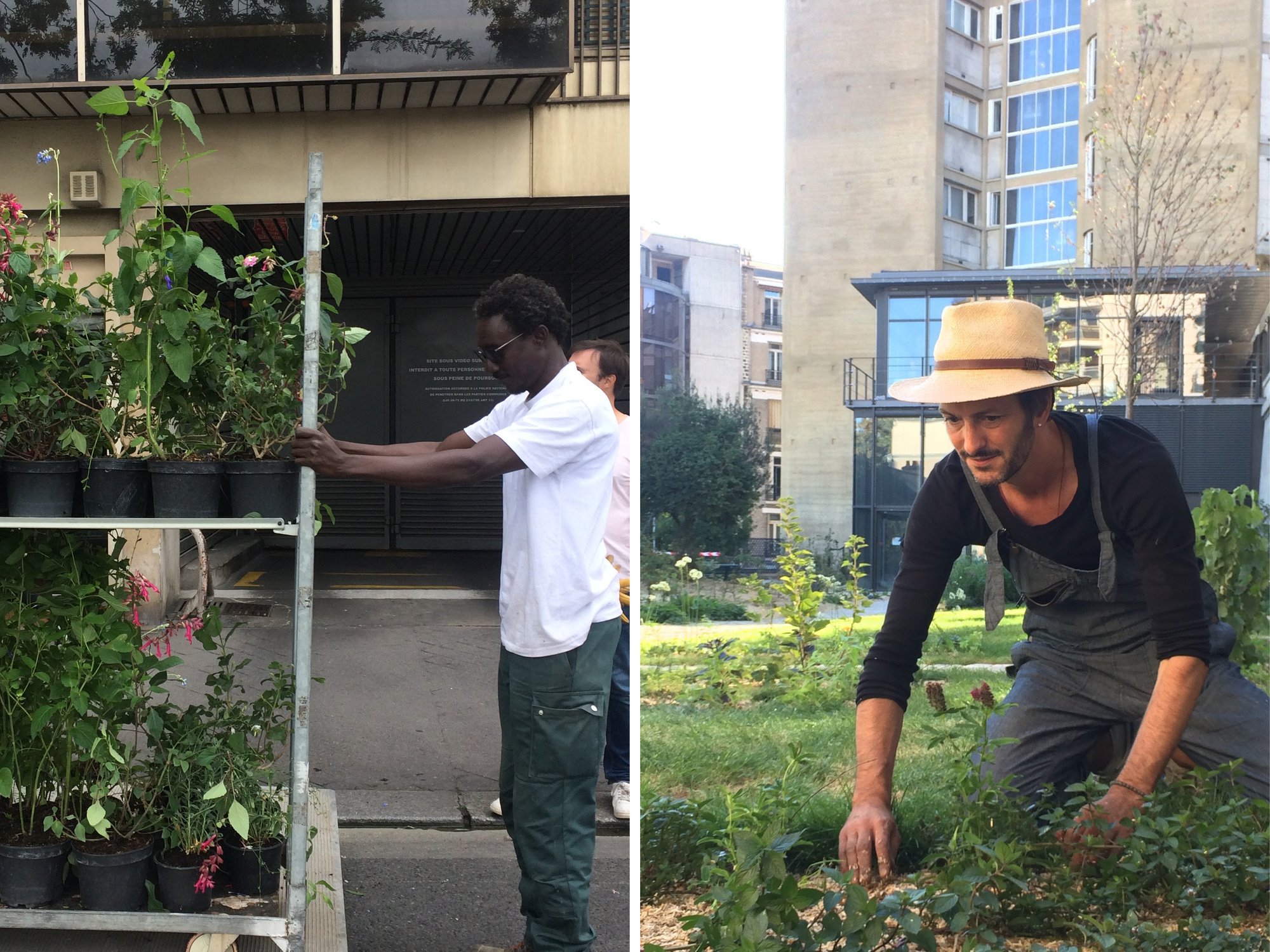Année 0 : le chantier participatif : jardiniers de la ville, du musée, conservatrice, maîtrise d'ouvrage et maître d'oeuvre